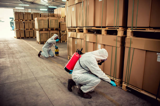 Trusted Veedersburg, IN Pest Control Experts