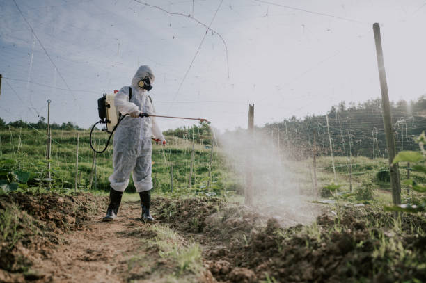 Best Insect Control  in Veedersburg, IN