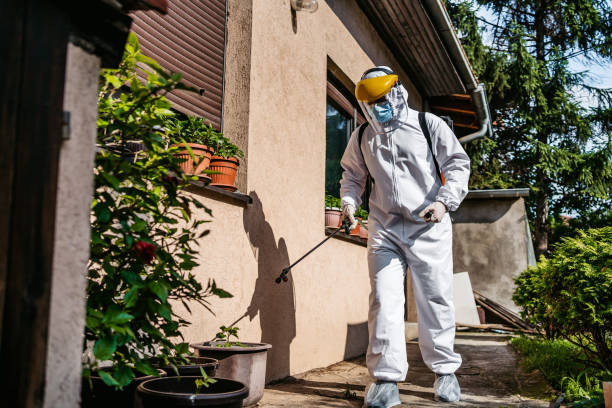 Best Mosquito Control Services  in Veedersburg, IN