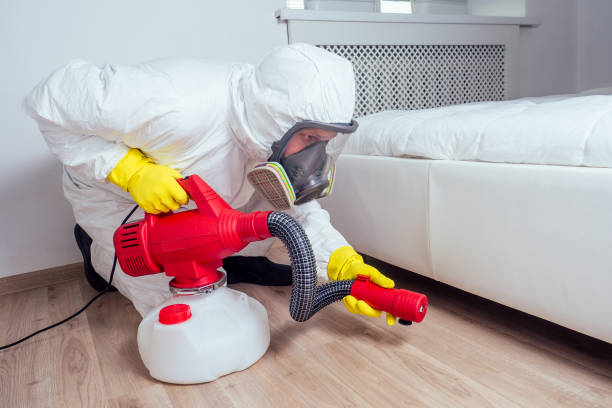 Wasp Removal Services in Veedersburg, IN