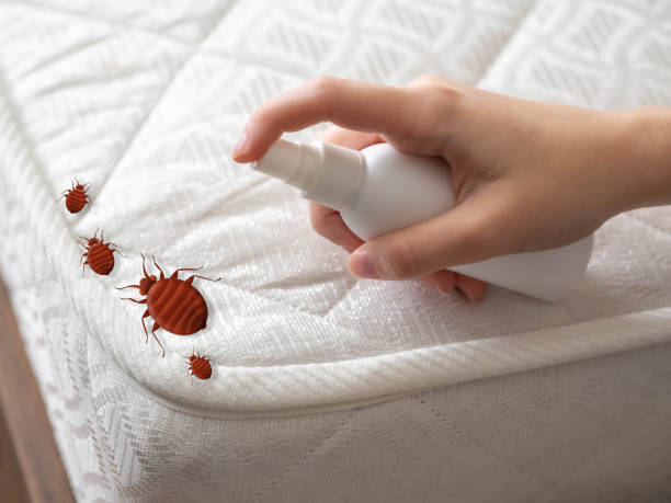  Veedersburg, IN Pest Control Pros
