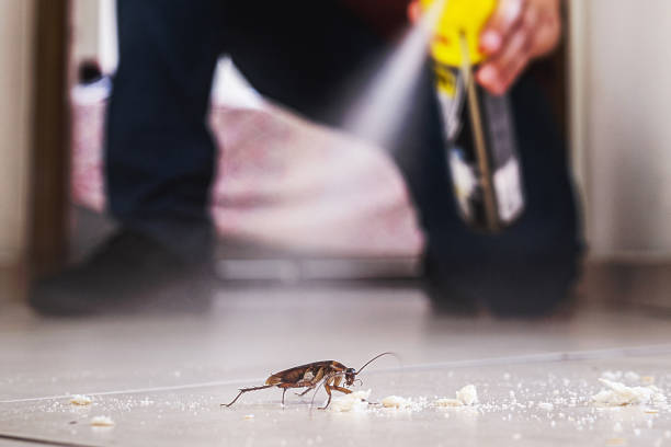 Best Best Pest Control Companies  in Veedersburg, IN