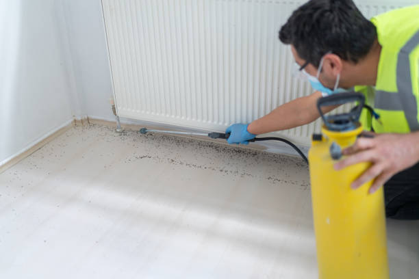 Best Best Pest Control Companies  in Veedersburg, IN
