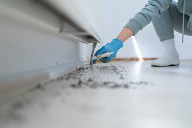 Pest Control Cost in Veedersburg, IN