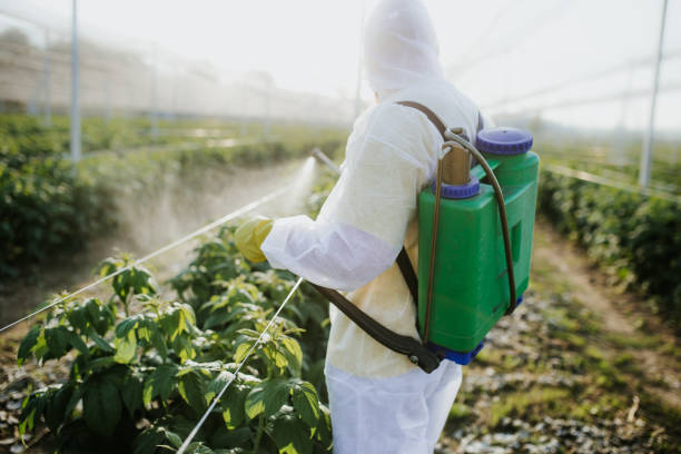 Best Flea Control Services  in Veedersburg, IN